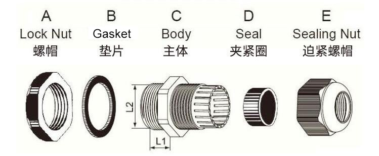 PG Thread Cable Gland Drawing