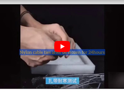 Saichuang Nylon Cable Ties After Be Frozen For 24 Hours